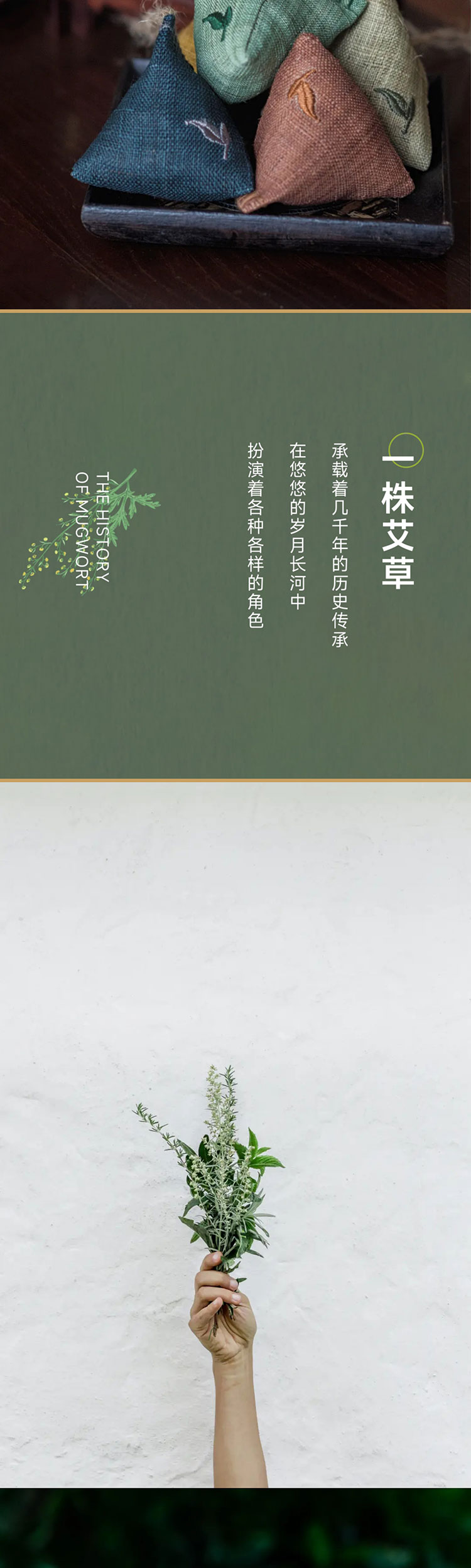 端午艾、艾草这么用有新发现