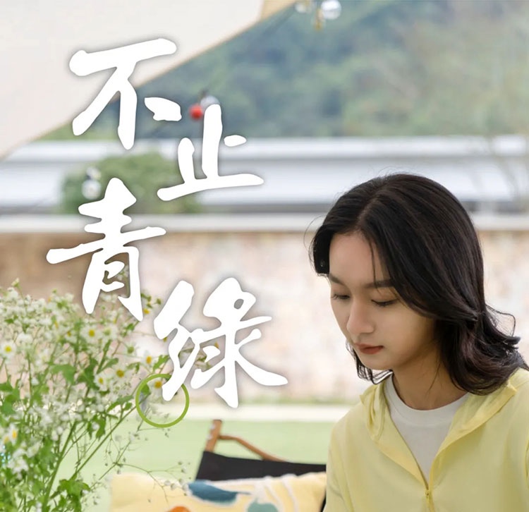 不止青绿，邂逅生活新色调