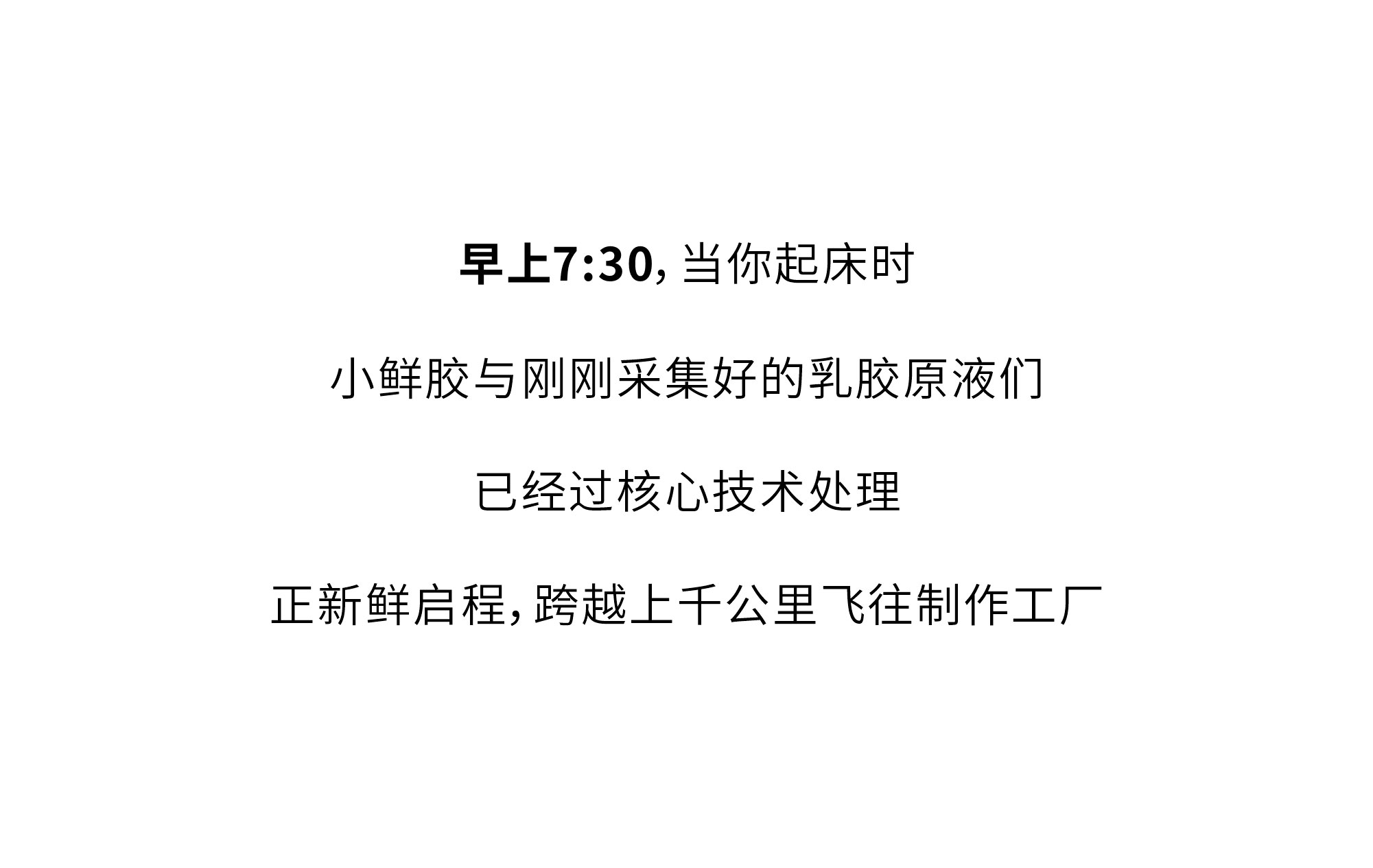 欢迎和小鲜胶一起，每天睡好觉！
