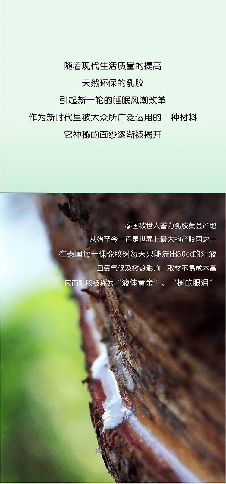 欢迎和小鲜胶一起，每天睡好觉！