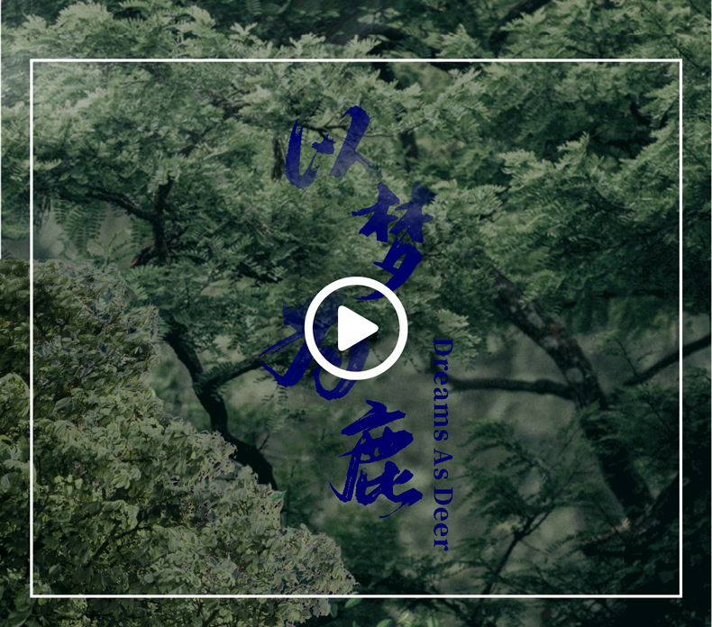 林间鹿纯棉四季绒套件 | 以梦为鹿，探寻温暖的秘密。